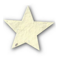 Mini Value Shape/Wildflower Star (2.25"x1.5")